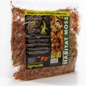 Komodo Habitat Moss 1.5l - live moss